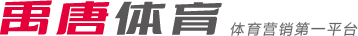 捷克前锋希