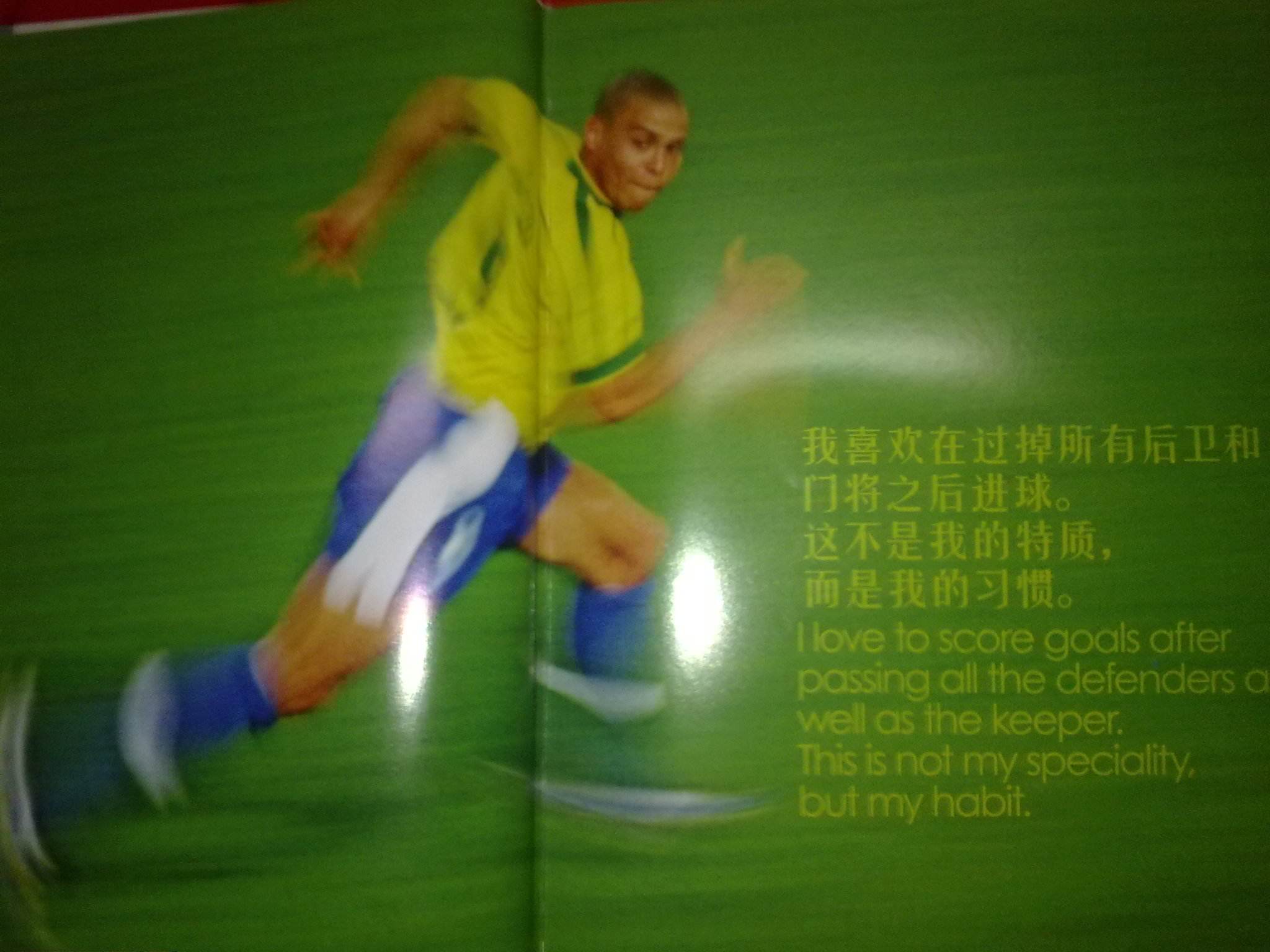 的领域