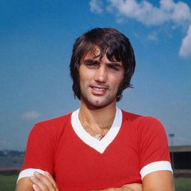 大提振了布 大提振了布